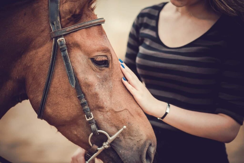 A woman petting a horse.