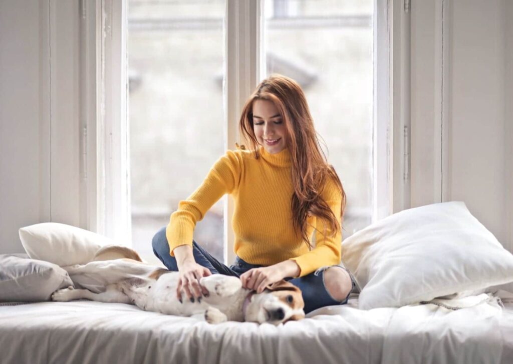 a person pets a dog on a bed