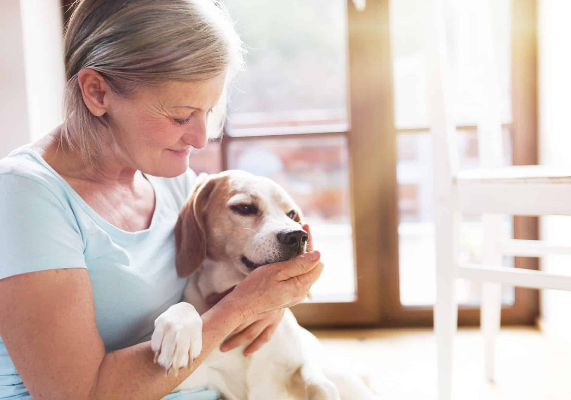 Pet Therapy 101: What Is It and What Are the Benefits? | Apex Recovery