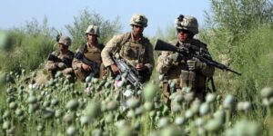 soldiers walking through a poppy field