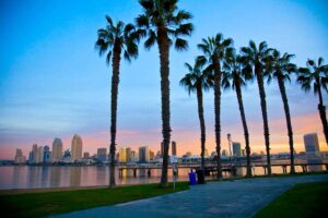 palm trees on a beach in the foreground of a skyline that is home to a California rehab center