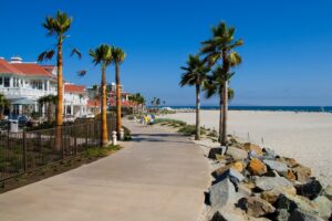 a california beach with palm trees and nice houses