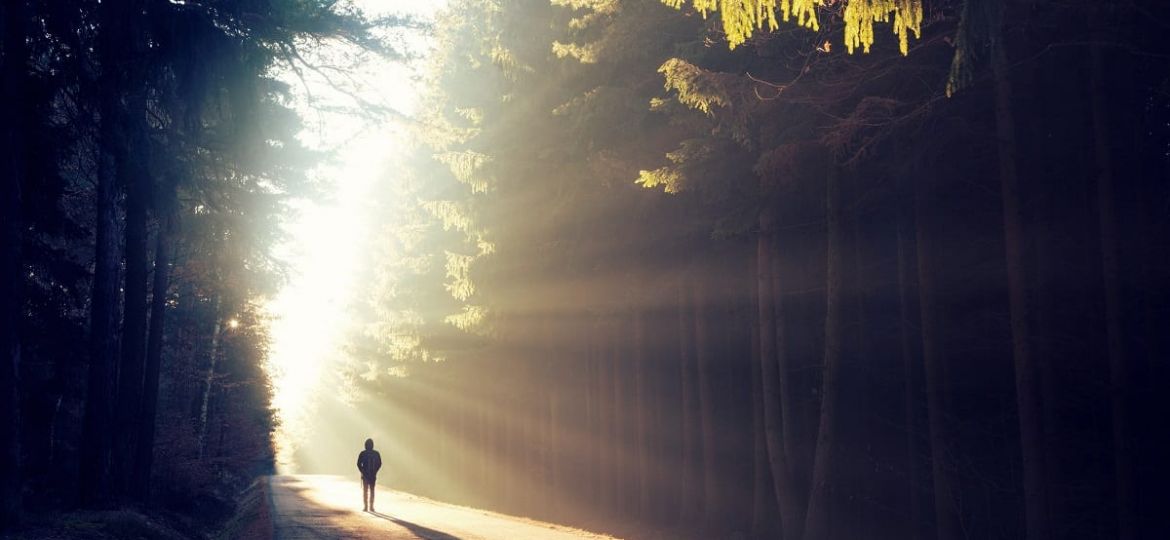 a person walks down a road in the woods