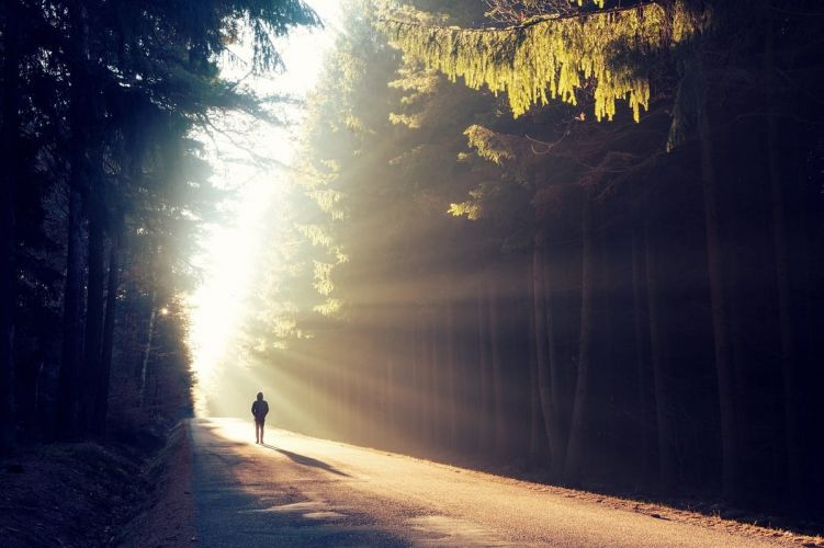 a person walks down a road in the woods
