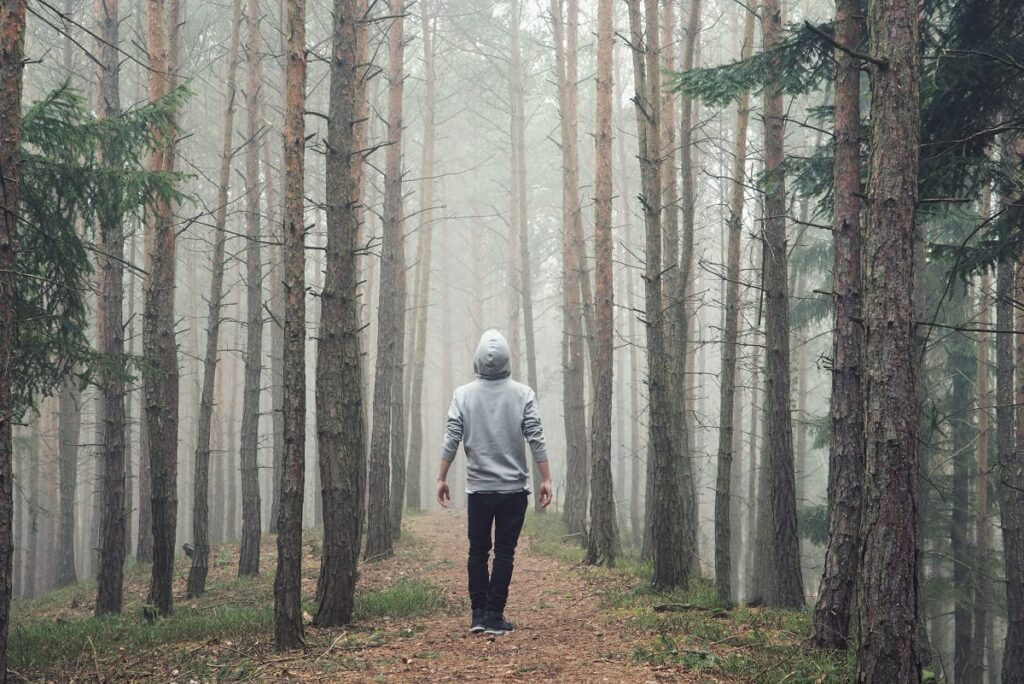 a person hiking a path in foggy woods