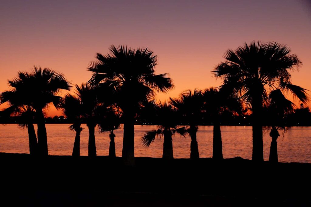 a sunset behind palm trees on a beach