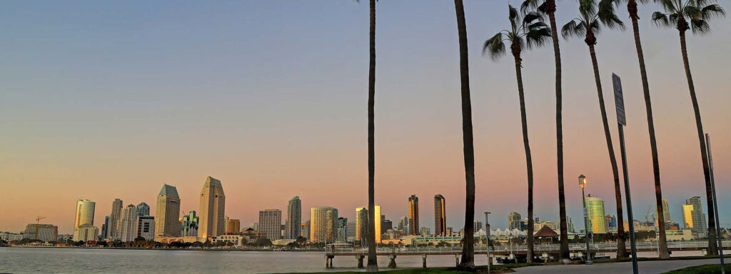 a cityscape of San Diego and palm trees and the beach