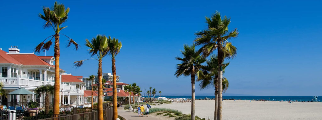 San Diego california beach front with palm trees and white sand