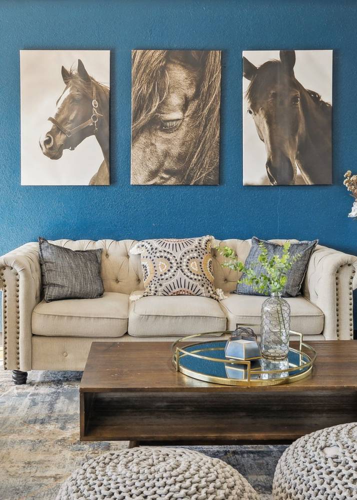 Apex Recovery Sofa with portraits of horses on a blue wall